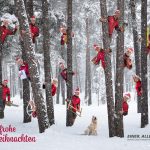 Mitarbeiterfotos für Weihnachtsgeschenk mit Zipfelmützen für Adventskalender retuschiert